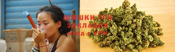 сатива Волоколамск