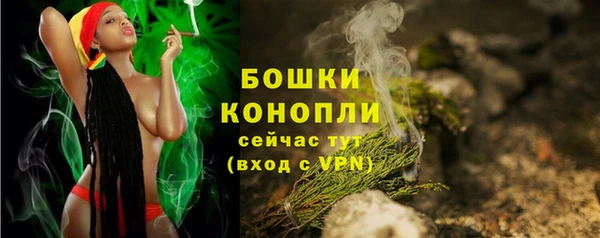 дурь Верея