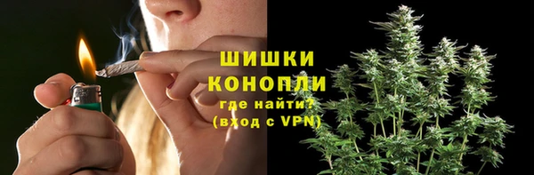 дживик Вяземский
