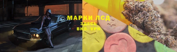 сатива Волоколамск