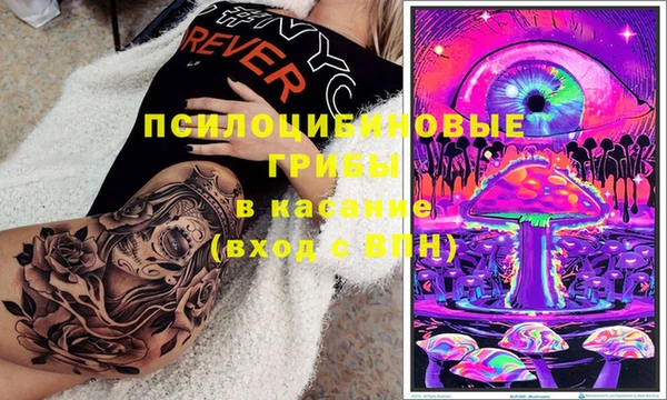 mdpv Володарск