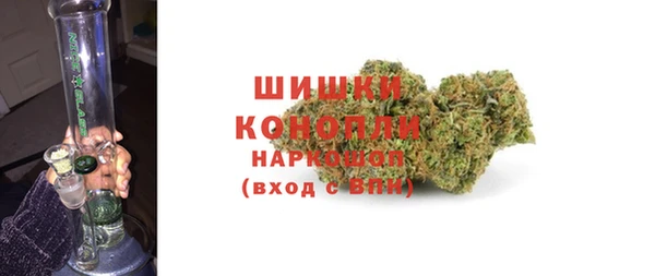 сатива Волоколамск