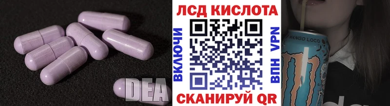 kraken зеркало  Знаменск  ЛСД экстази ecstasy 